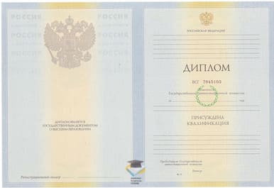 Диплом МИФКИС 2010-2011 годов